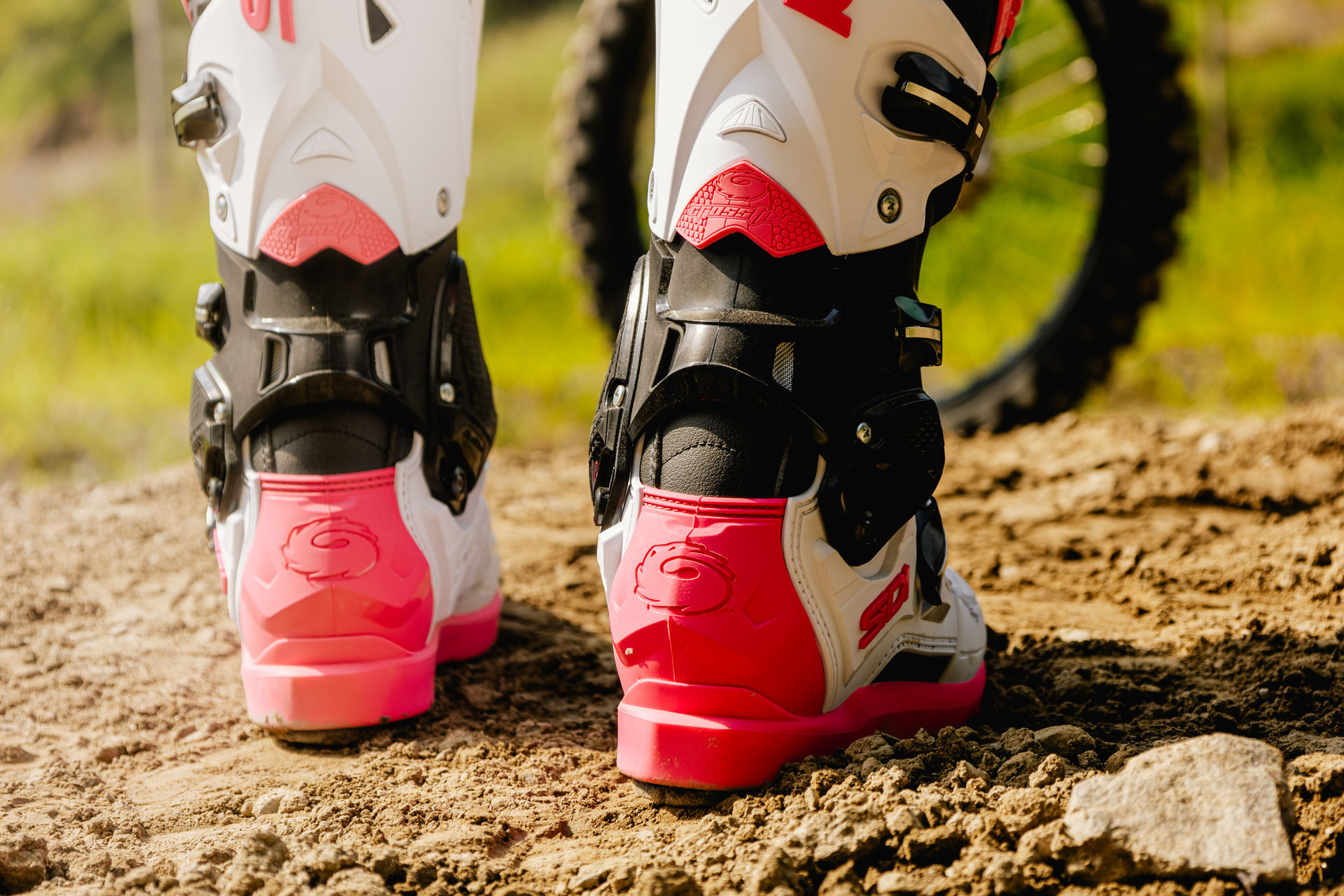 Obrázek pro kategorii Beta Obrázek pro kategorii Beta