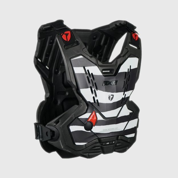 Obrázek Cyb-R - Zebra